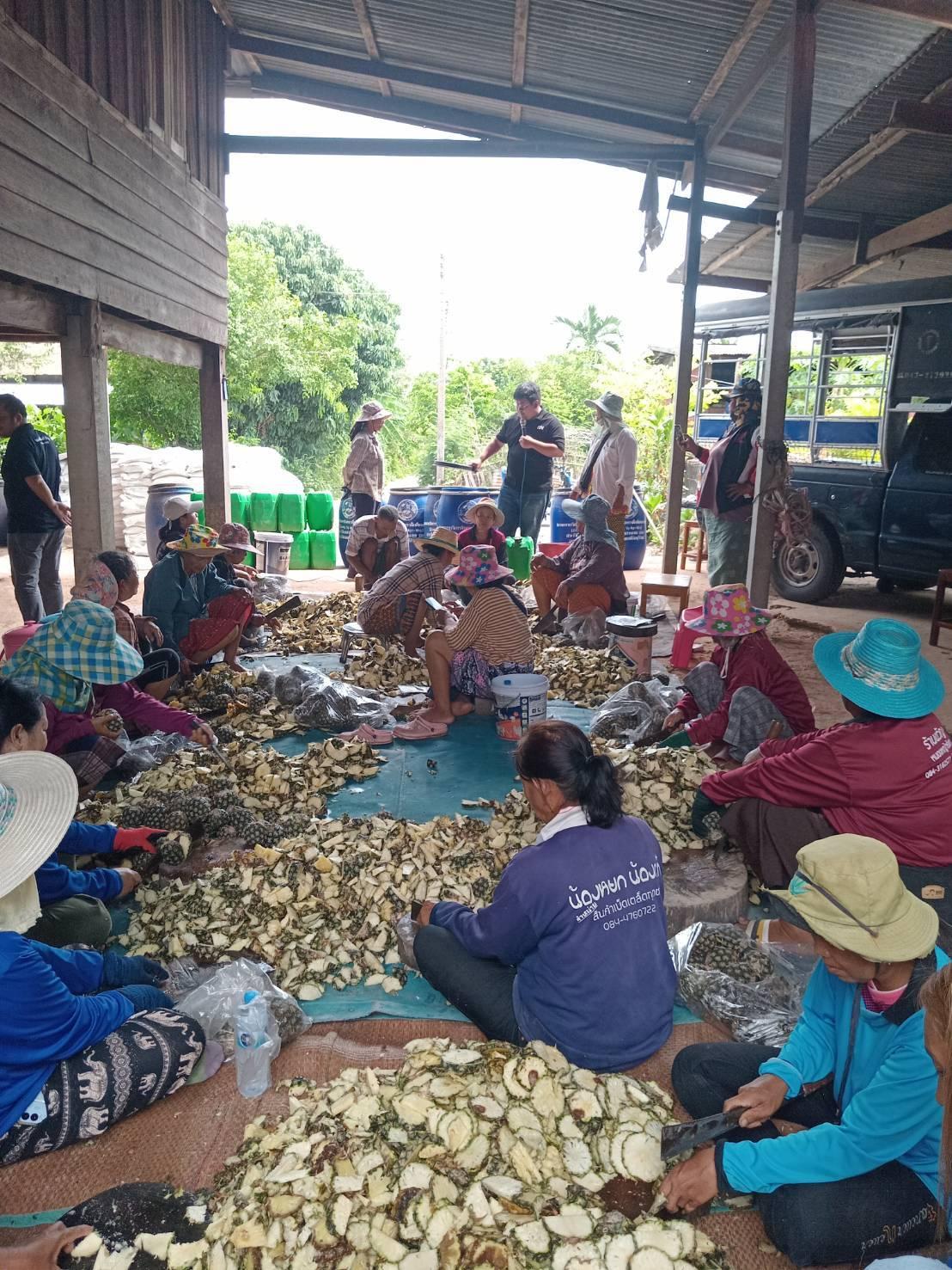 ภาพประกอบที่ 1
