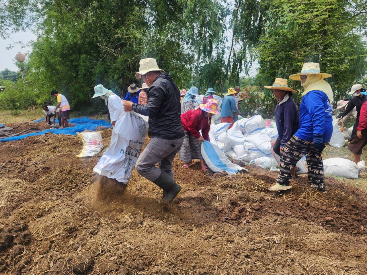 ภาพประกอบที่ 11