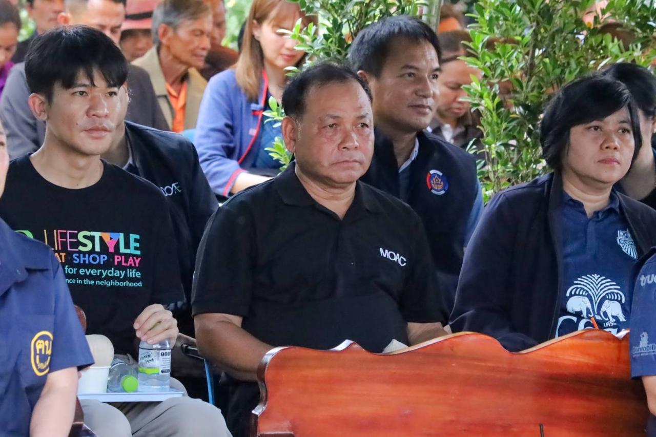 ภาพประกอบที่ 1