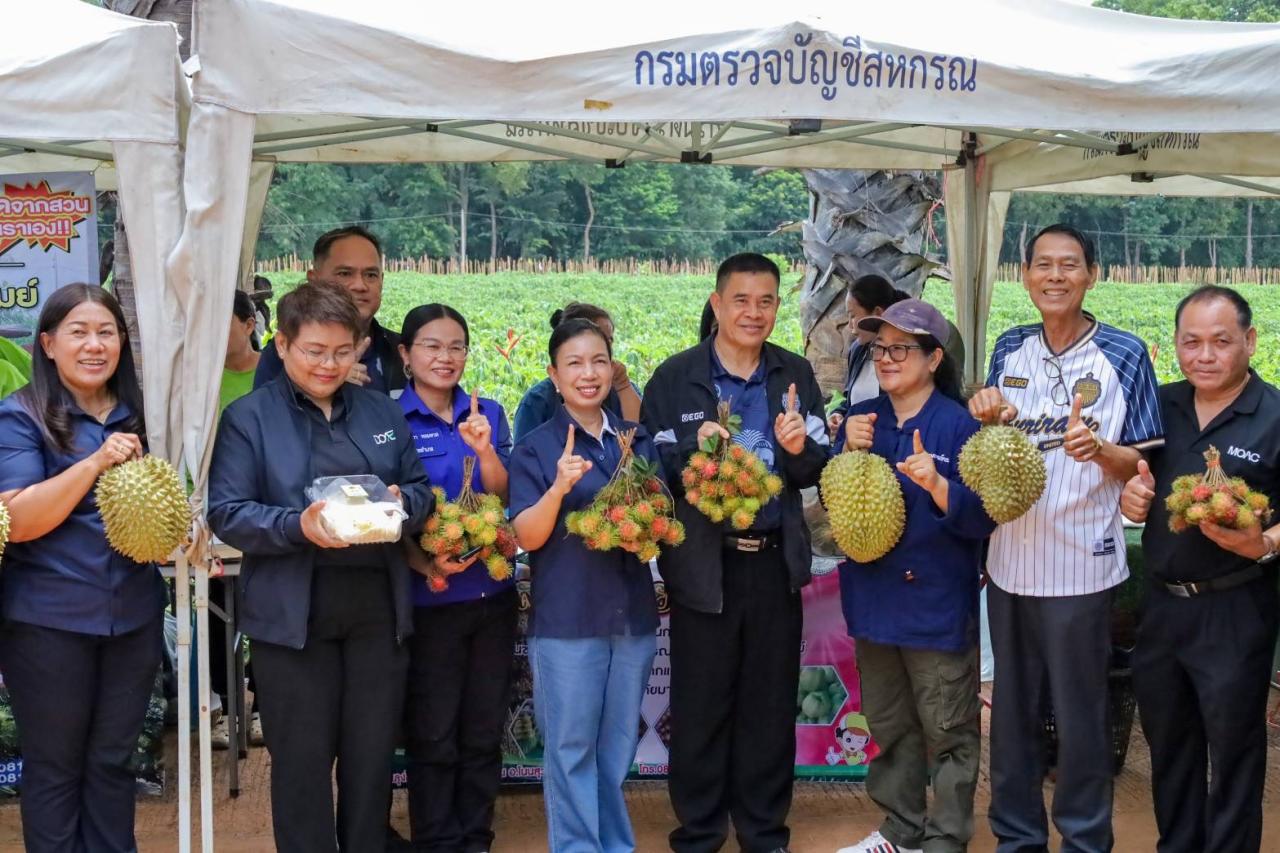 ภาพประกอบที่ 12