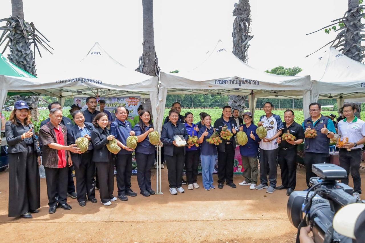 ภาพประกอบที่ 13