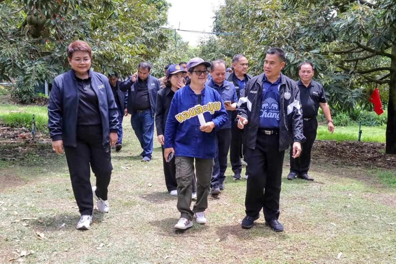 ภาพประกอบที่ 14
