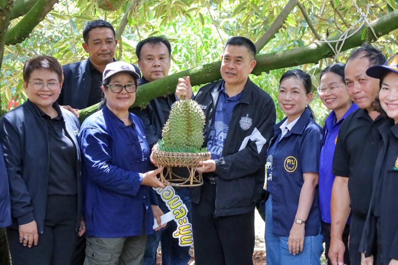 ภาพประกอบที่ 15