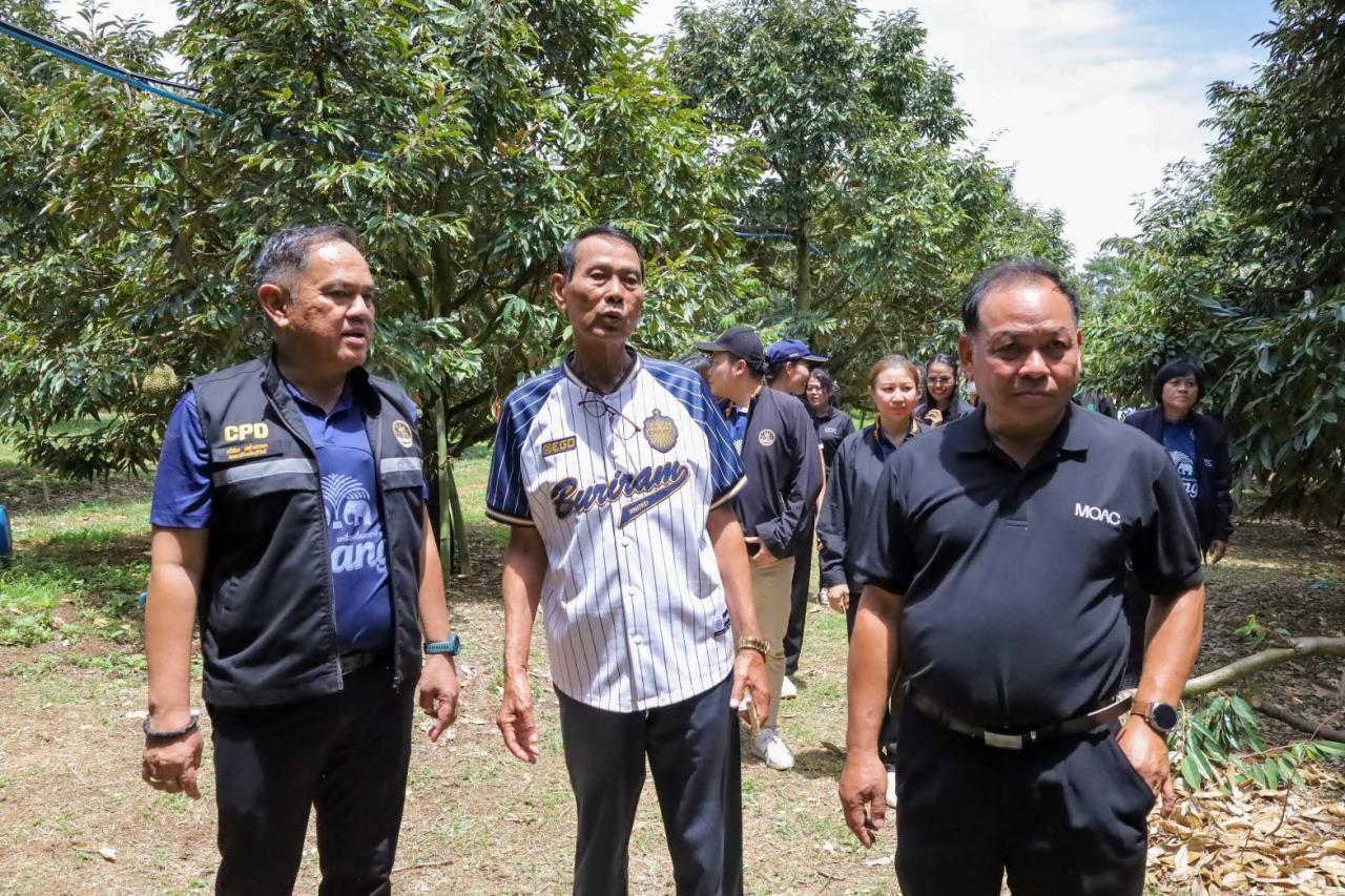ภาพประกอบที่ 17