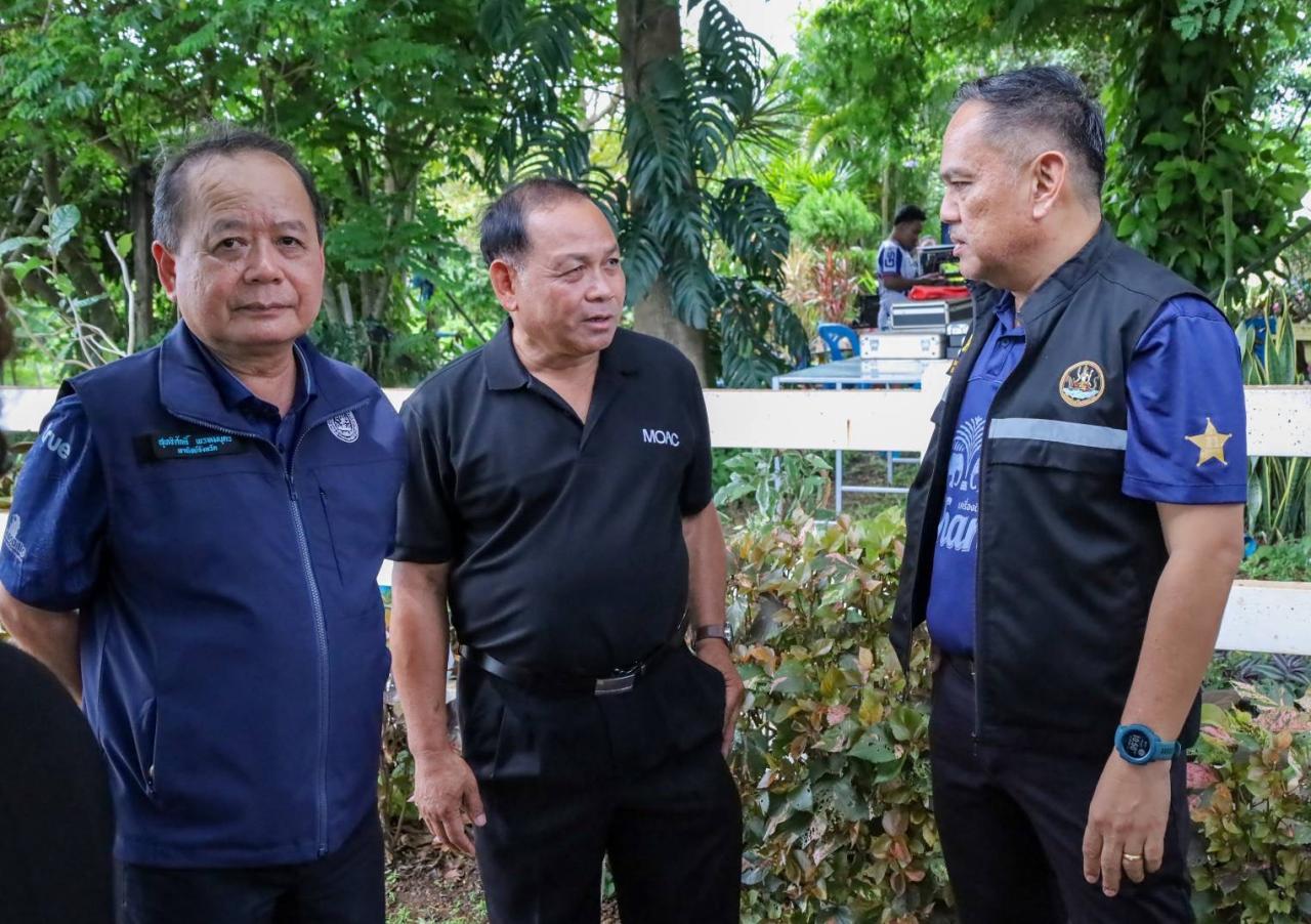 ภาพประกอบที่ 18