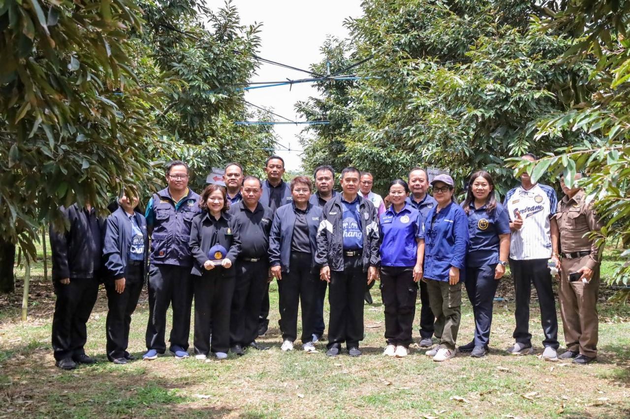 ภาพประกอบที่ 19