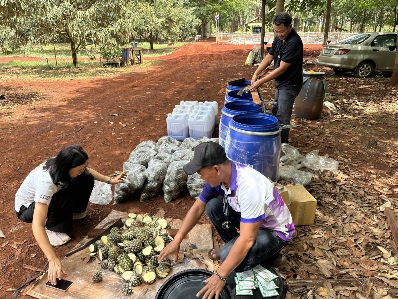 ภาพประกอบที่ 2