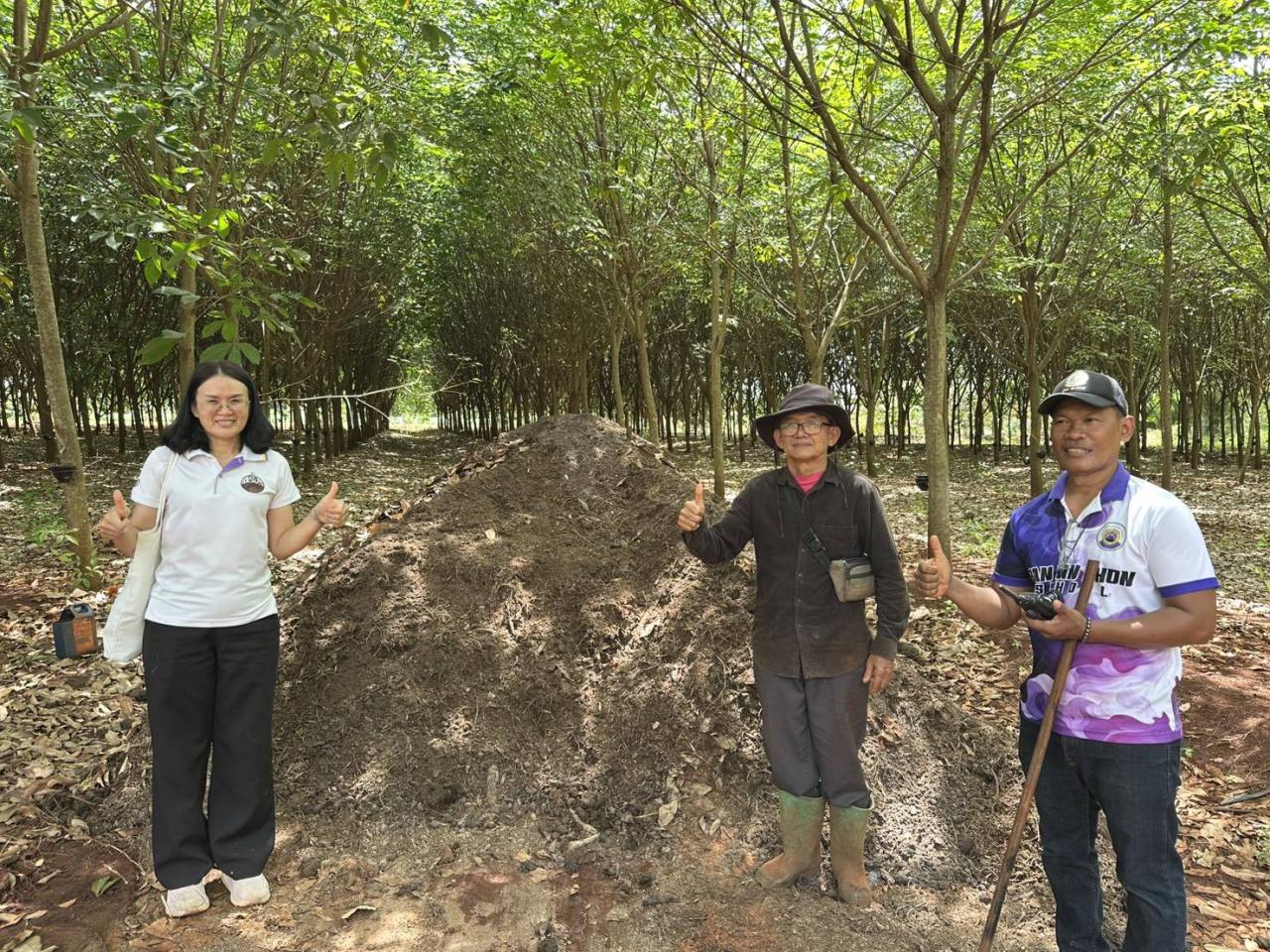 ภาพประกอบที่ 11