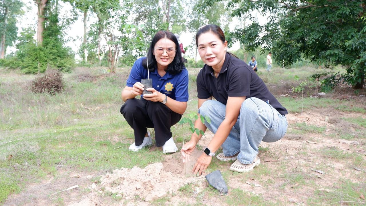 ภาพประกอบที่ 5