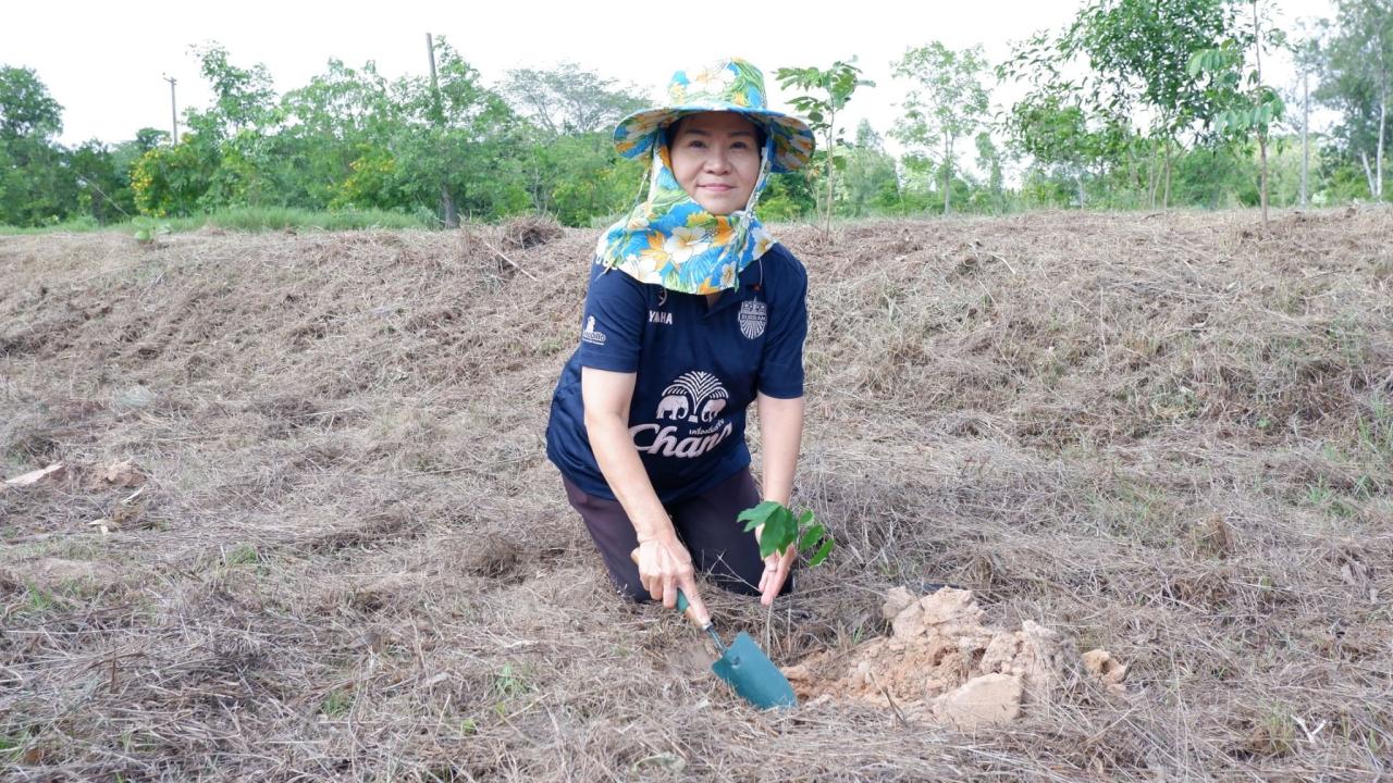 ภาพประกอบที่ 8