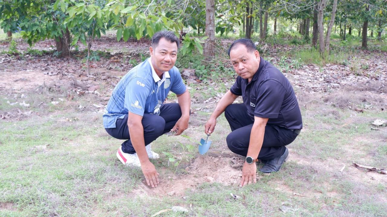 ภาพประกอบที่ 15