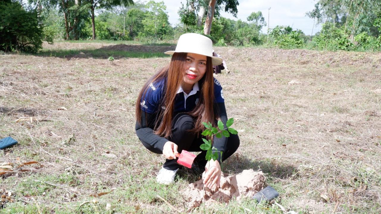 ภาพประกอบที่ 18