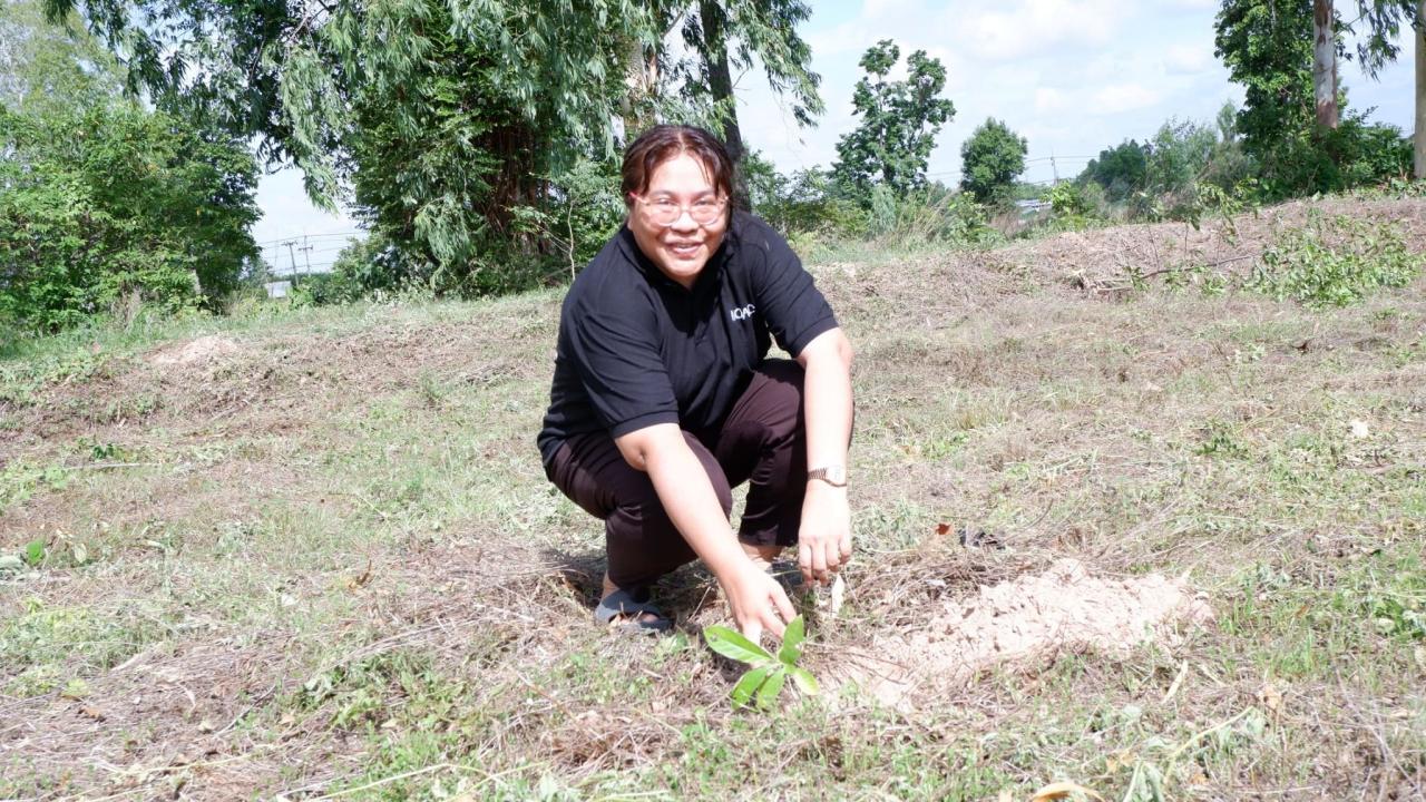 ภาพประกอบที่ 21