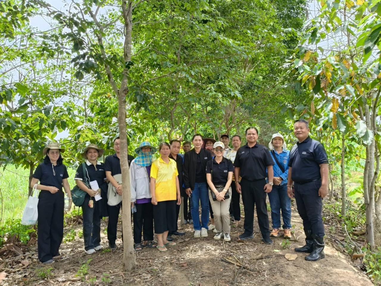 ภาพประกอบที่ 0