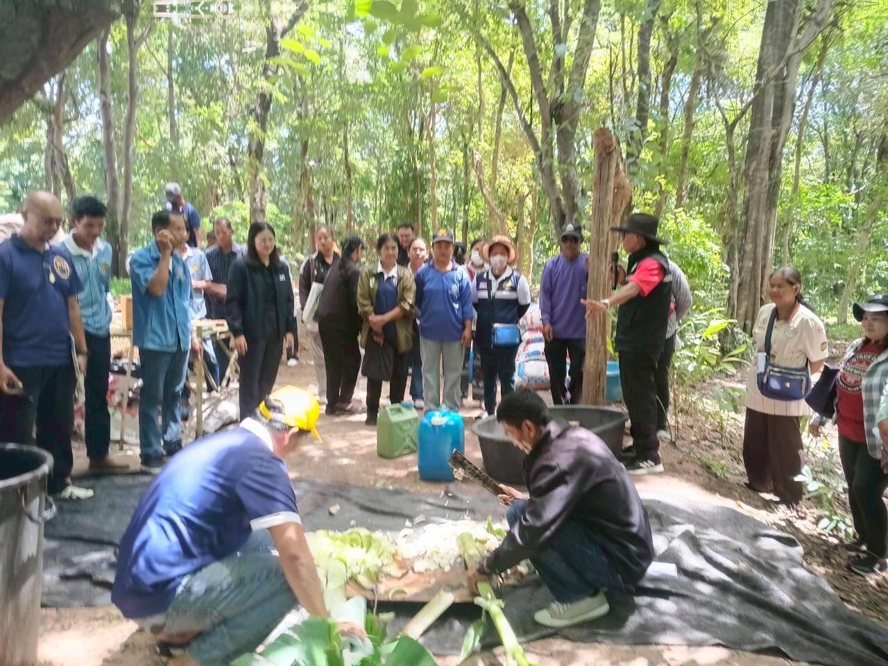 ภาพประกอบที่ 7