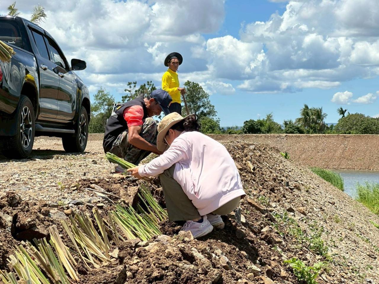 ภาพประกอบที่ 11