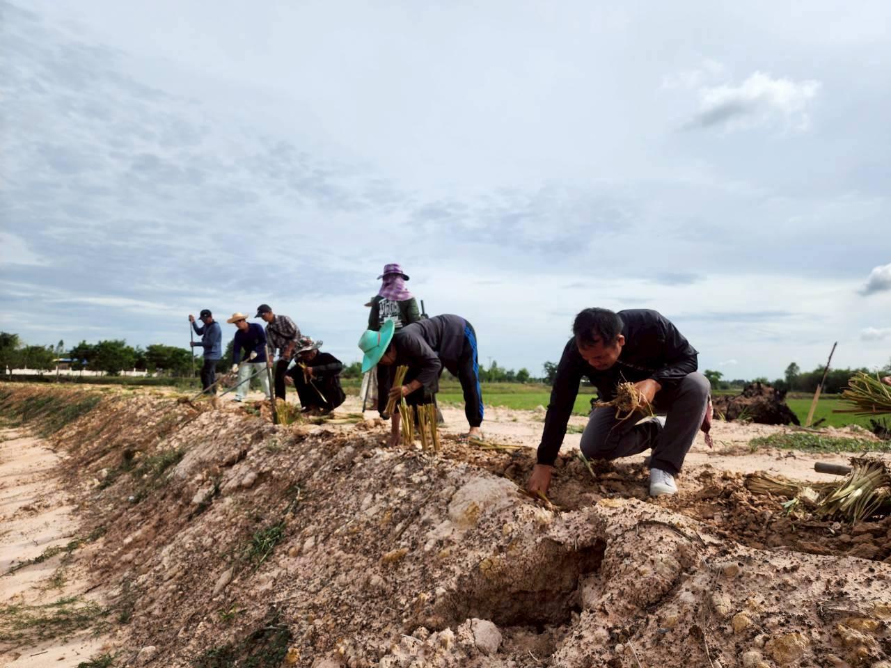 ภาพประกอบที่ 6