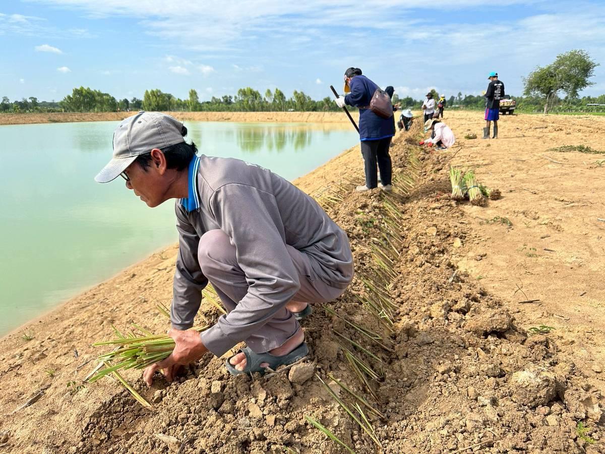 ภาพประกอบที่ 16