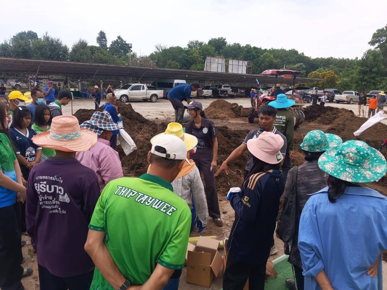 ภาพประกอบที่ 1