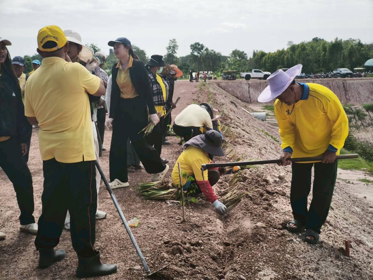 ภาพประกอบที่ 3