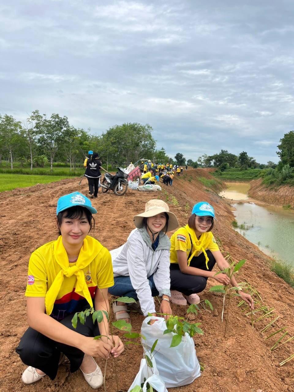 ภาพประกอบที่ 3