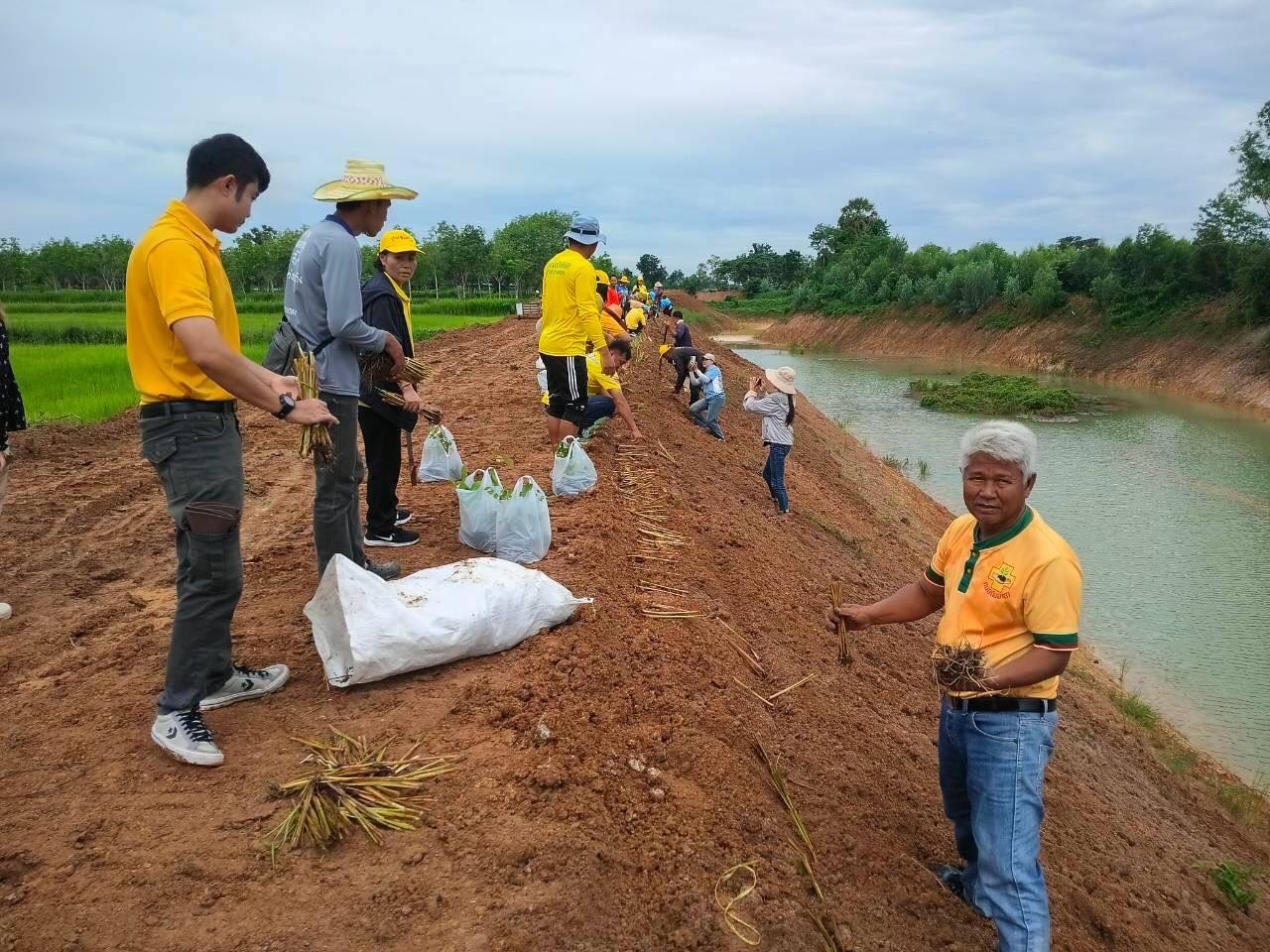 ภาพประกอบที่ 8