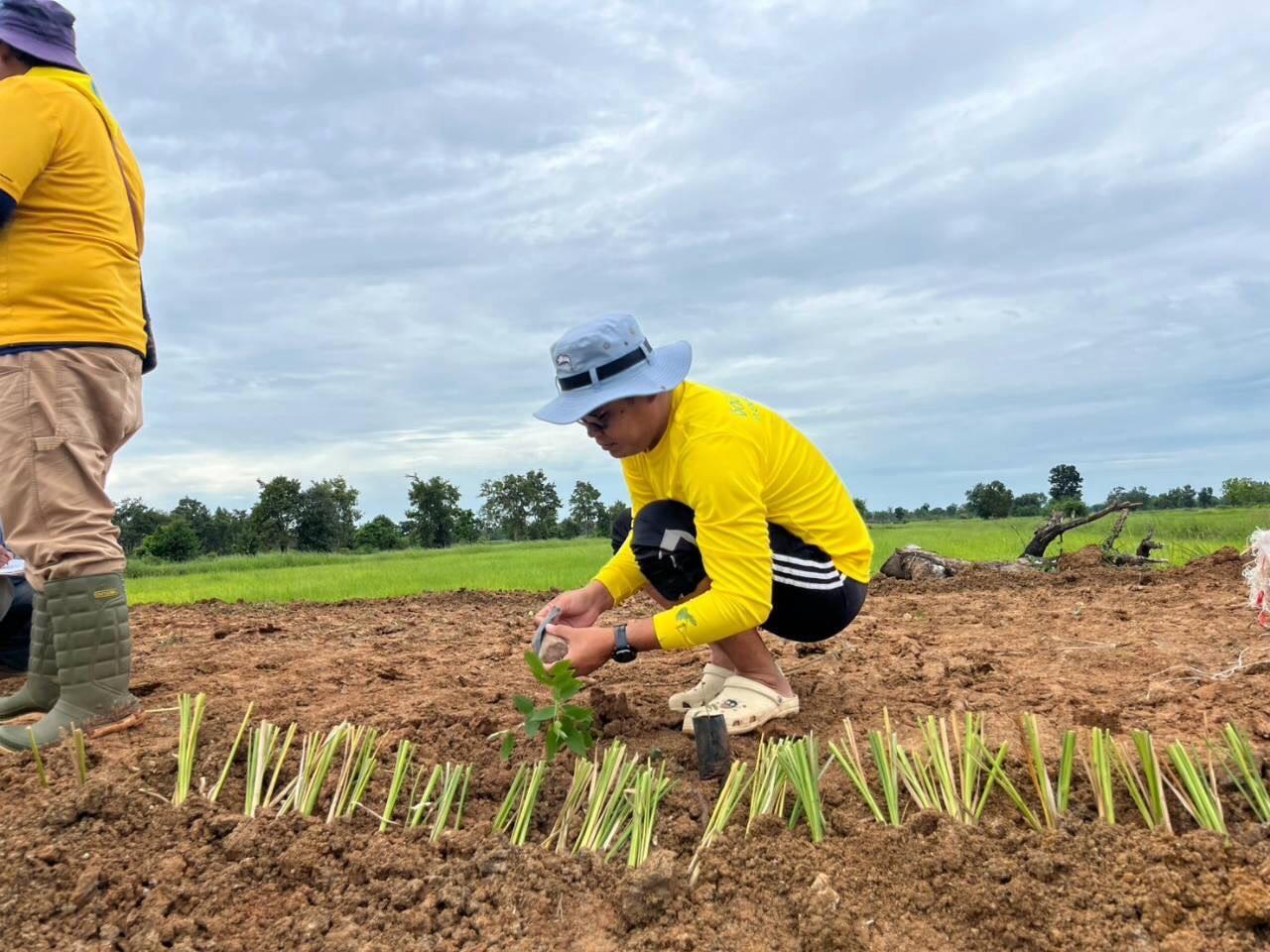 ภาพประกอบที่ 10