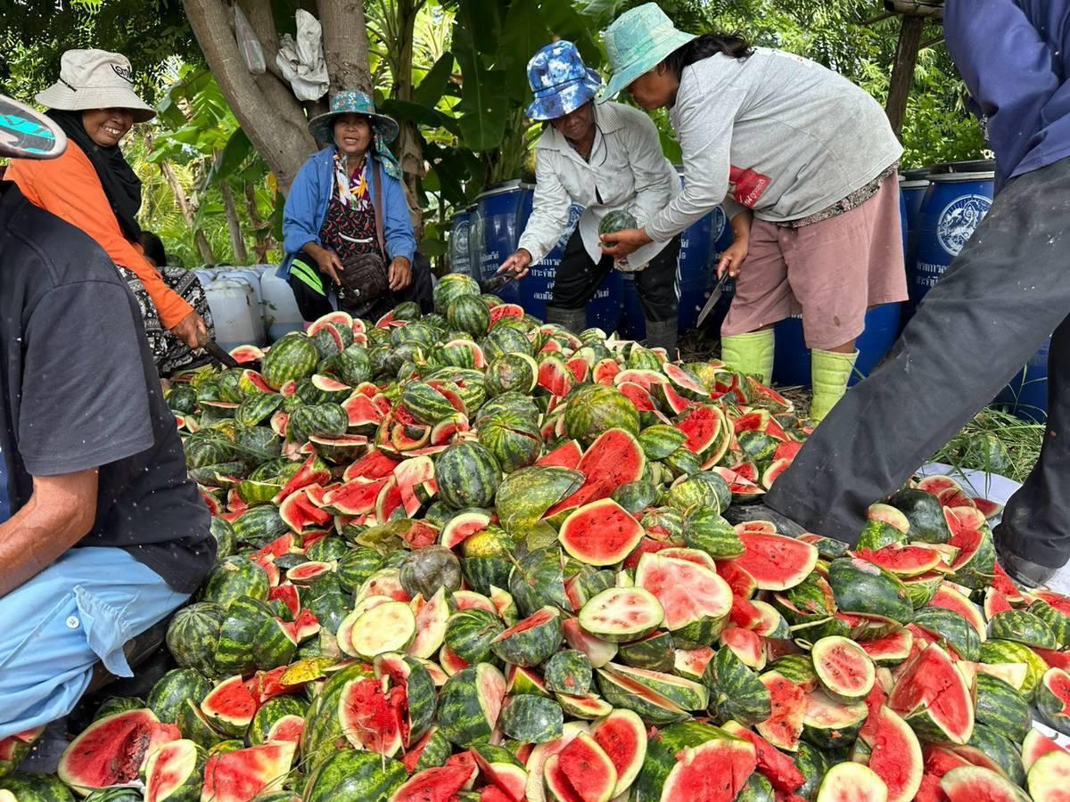 ภาพประกอบที่ 2