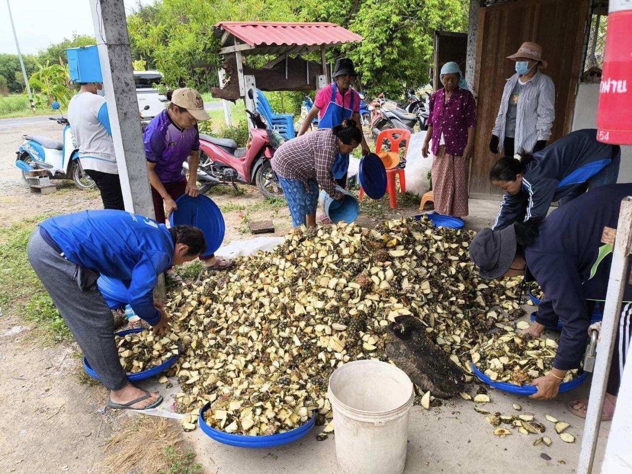 ภาพประกอบที่ 21