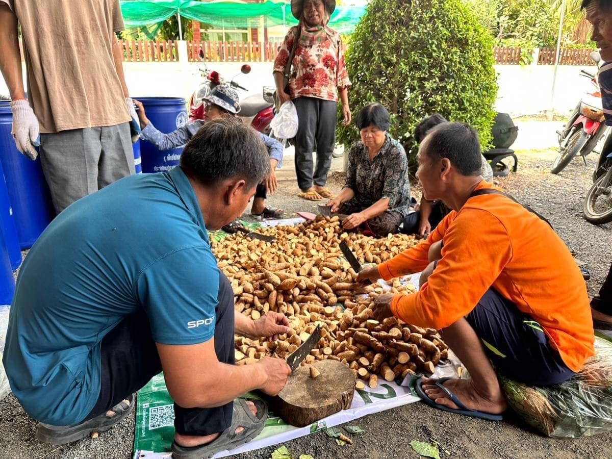 ภาพประกอบที่ 0