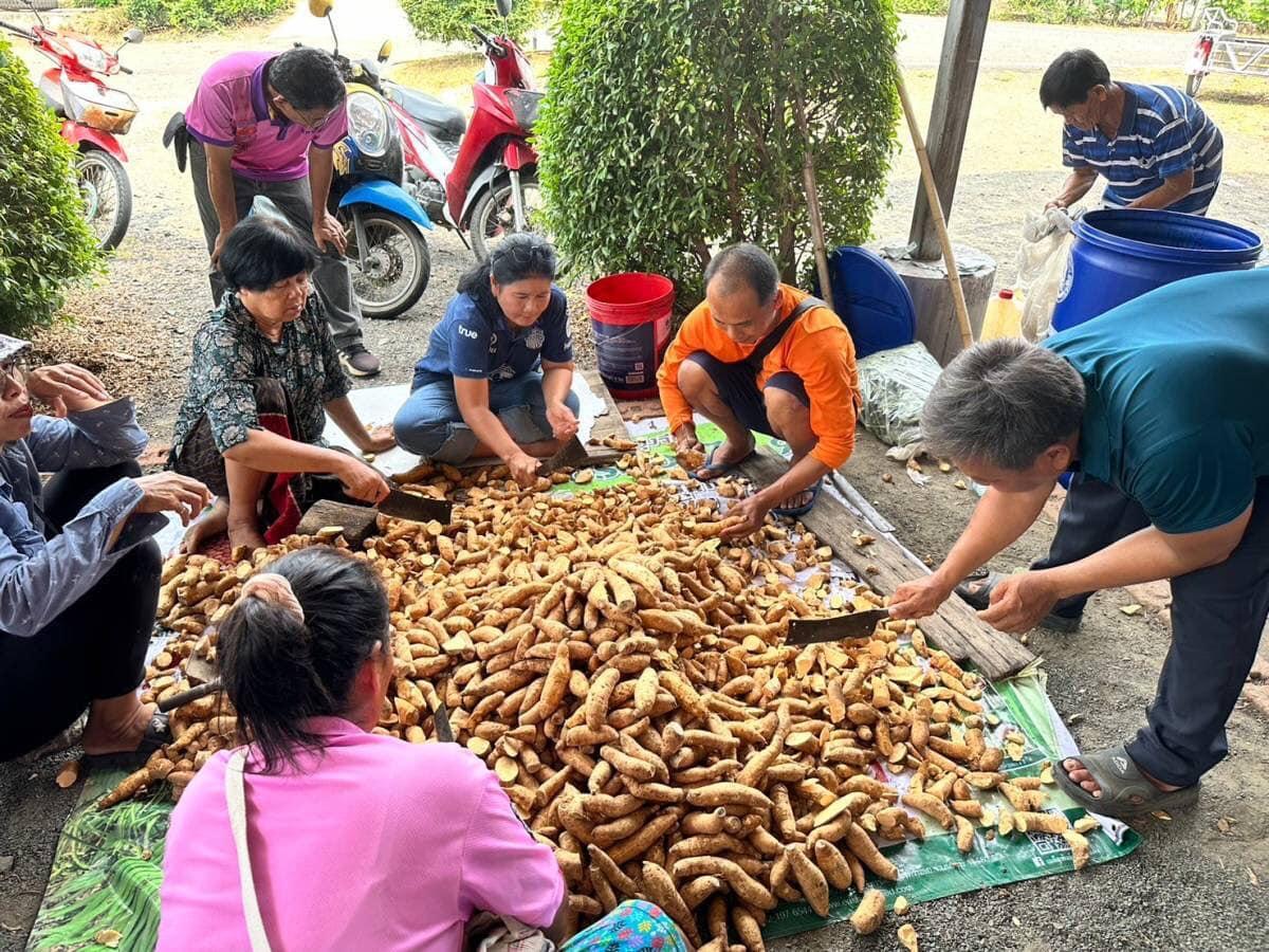 ภาพประกอบที่ 3