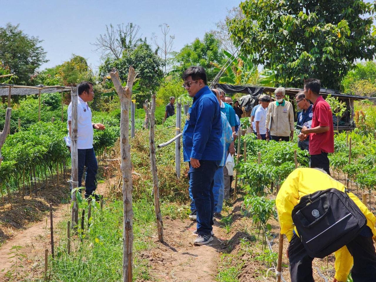 ภาพประกอบที่ 4