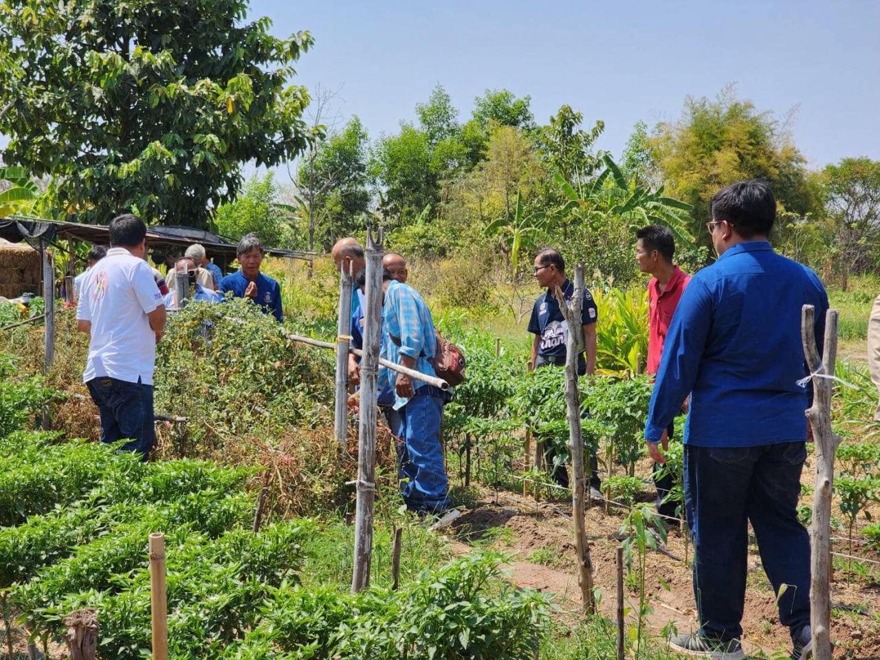 ภาพประกอบที่ 7