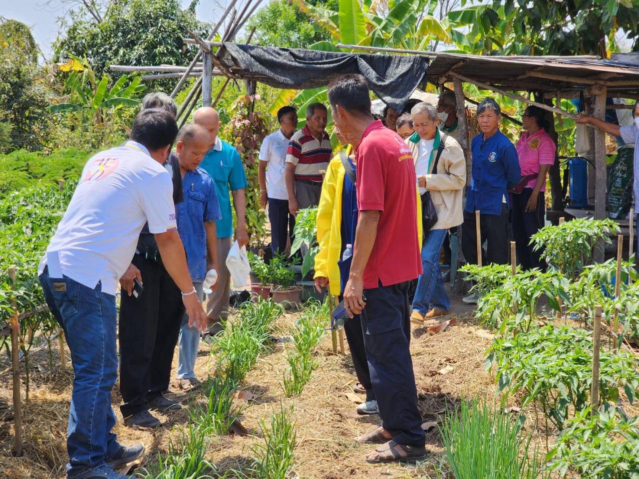 ภาพประกอบที่ 18