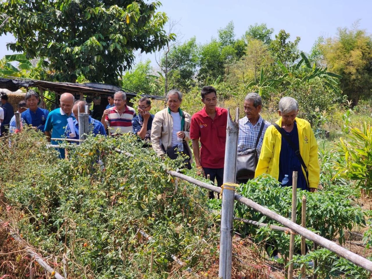 ภาพประกอบที่ 22