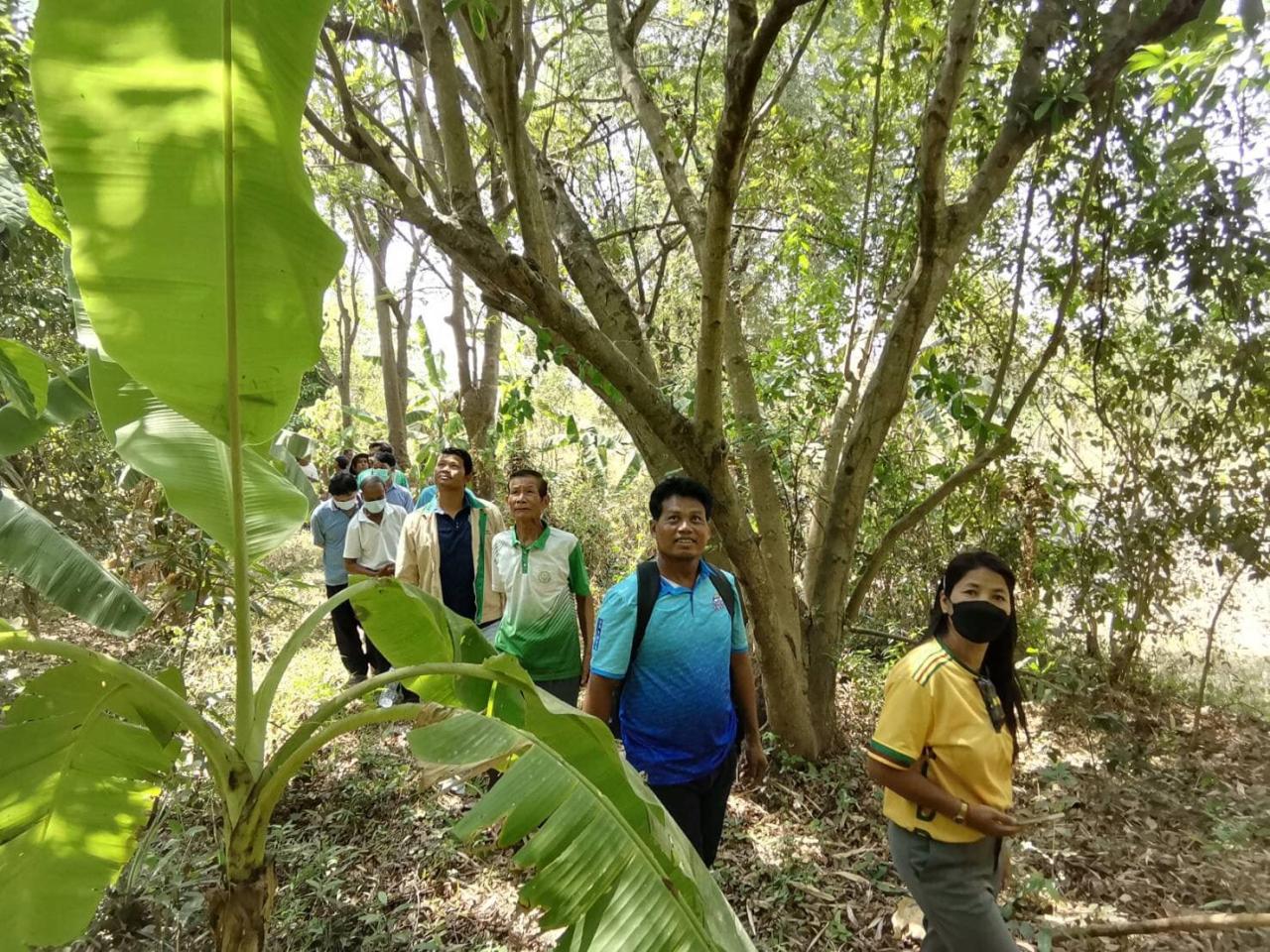 ภาพประกอบที่ 1