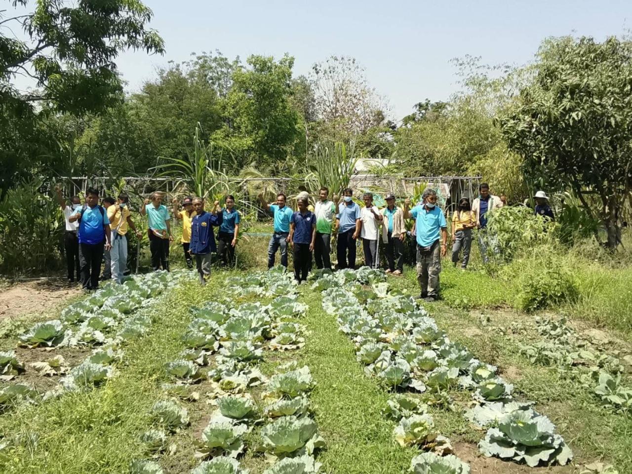 ภาพประกอบที่ 10