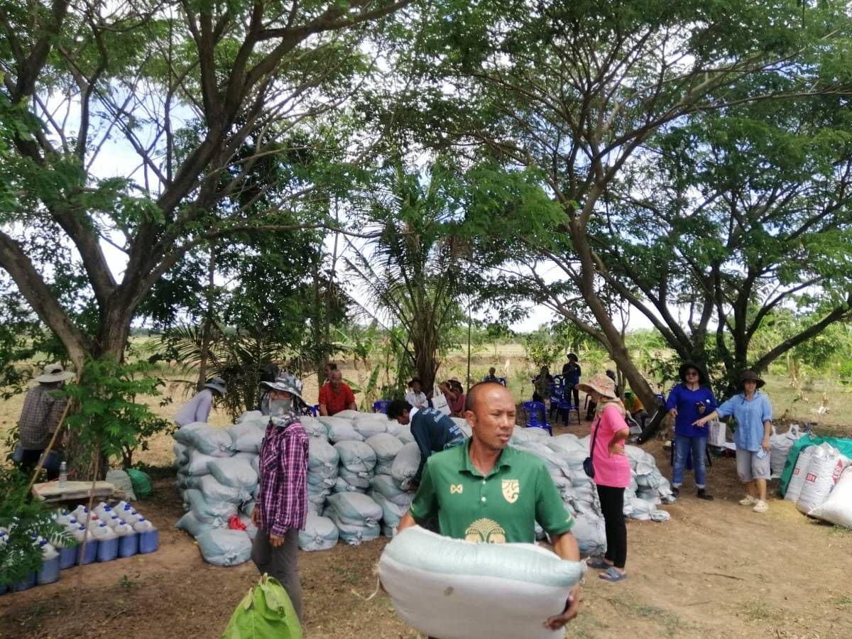 ภาพประกอบที่ 2