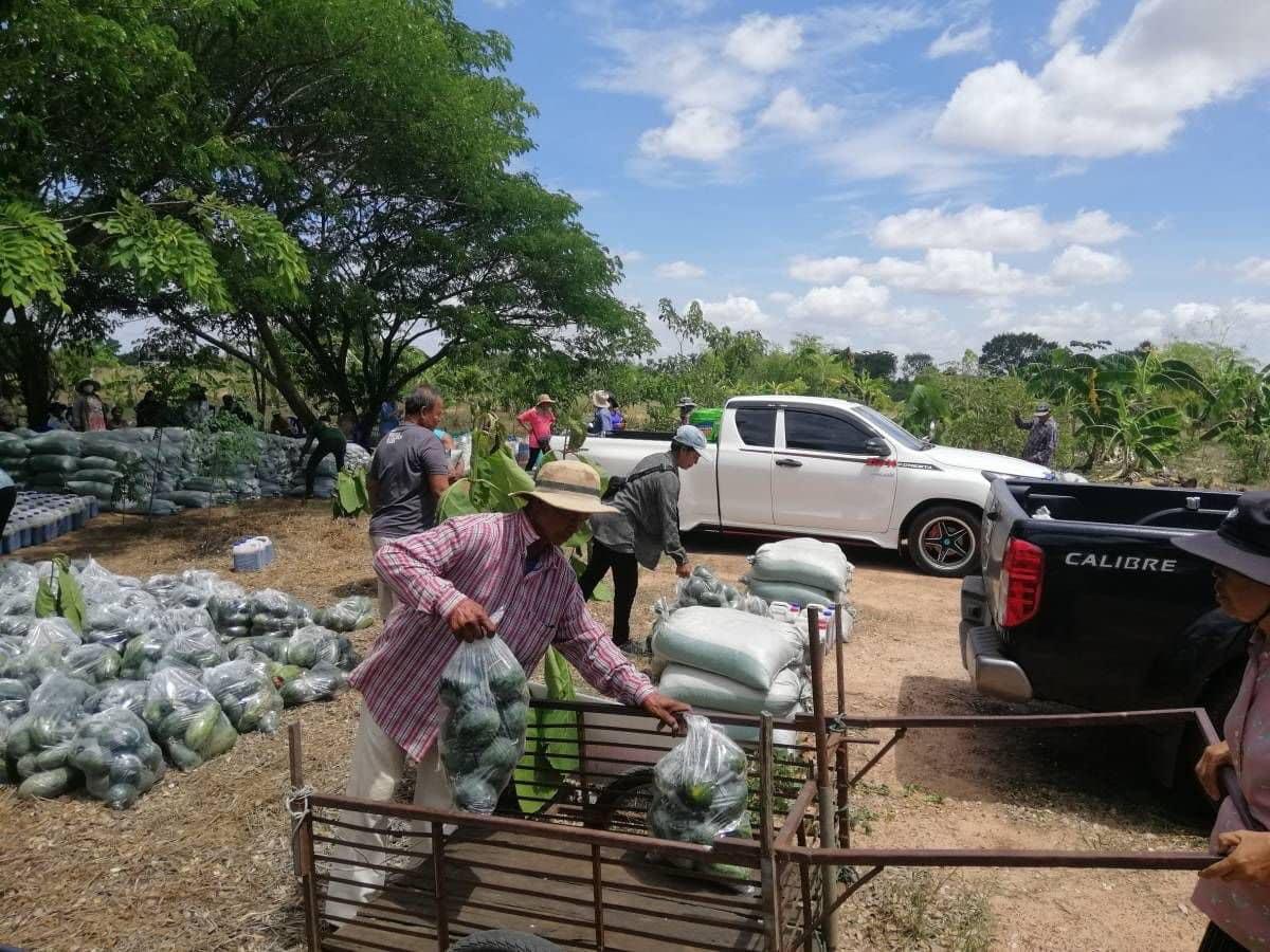 ภาพประกอบที่ 7