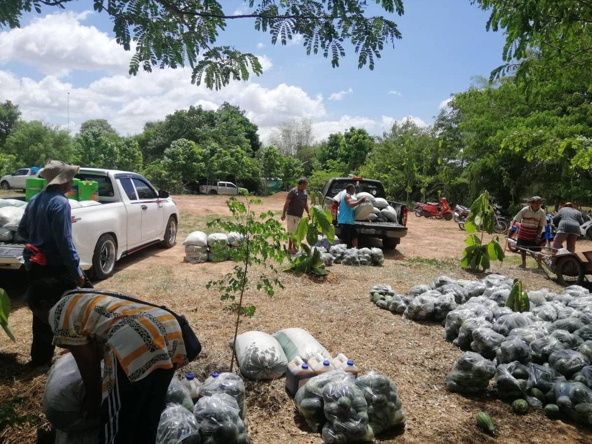 ภาพประกอบที่ 8