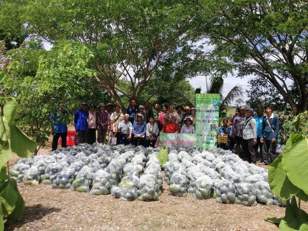 ภาพประกอบที่ 9