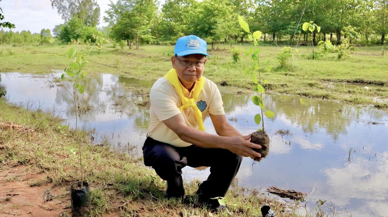 ภาพประกอบที่ 11