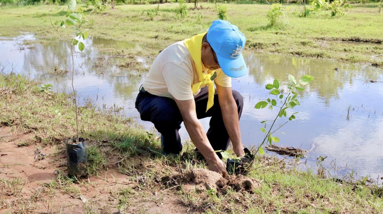 ภาพประกอบที่ 12