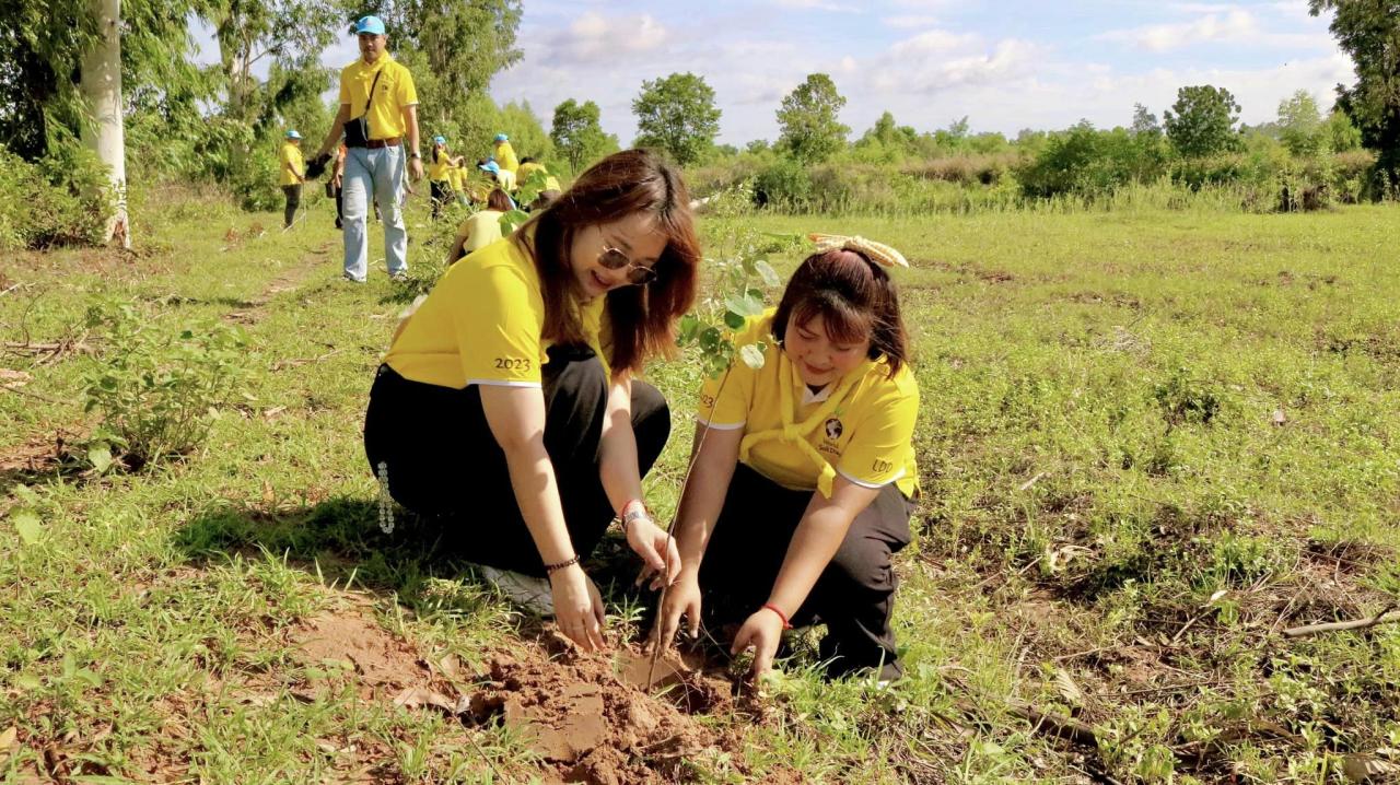 ภาพประกอบที่ 13