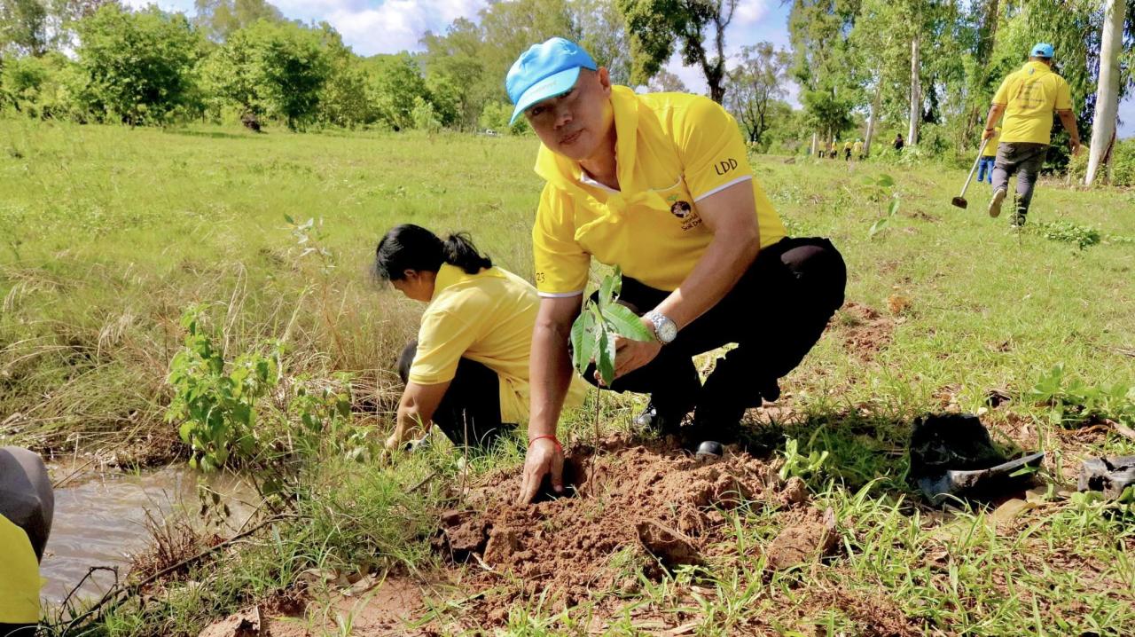 ภาพประกอบที่ 15