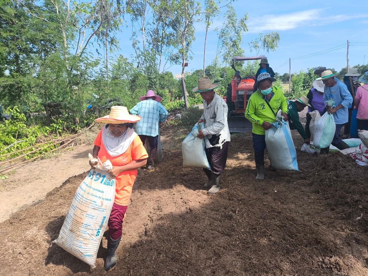 ภาพประกอบที่ 12