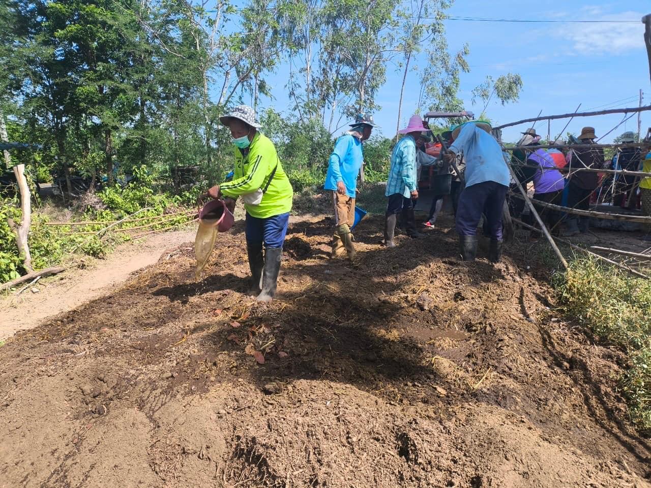 ภาพประกอบที่ 17