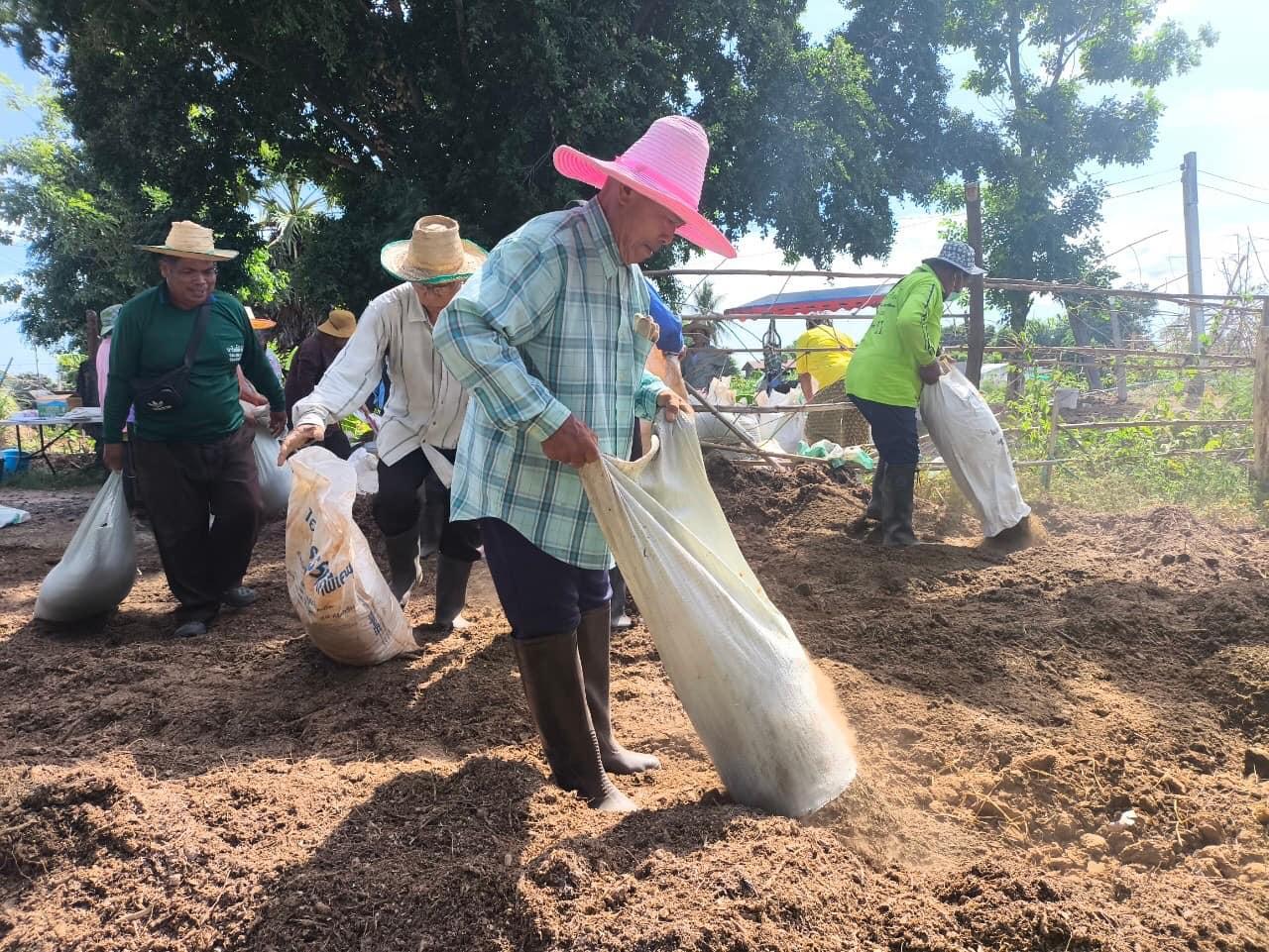 ภาพประกอบที่ 19