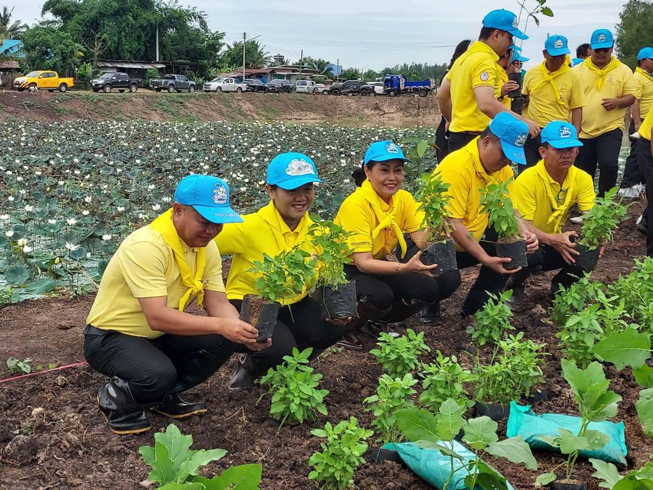 ภาพประกอบที่ 0