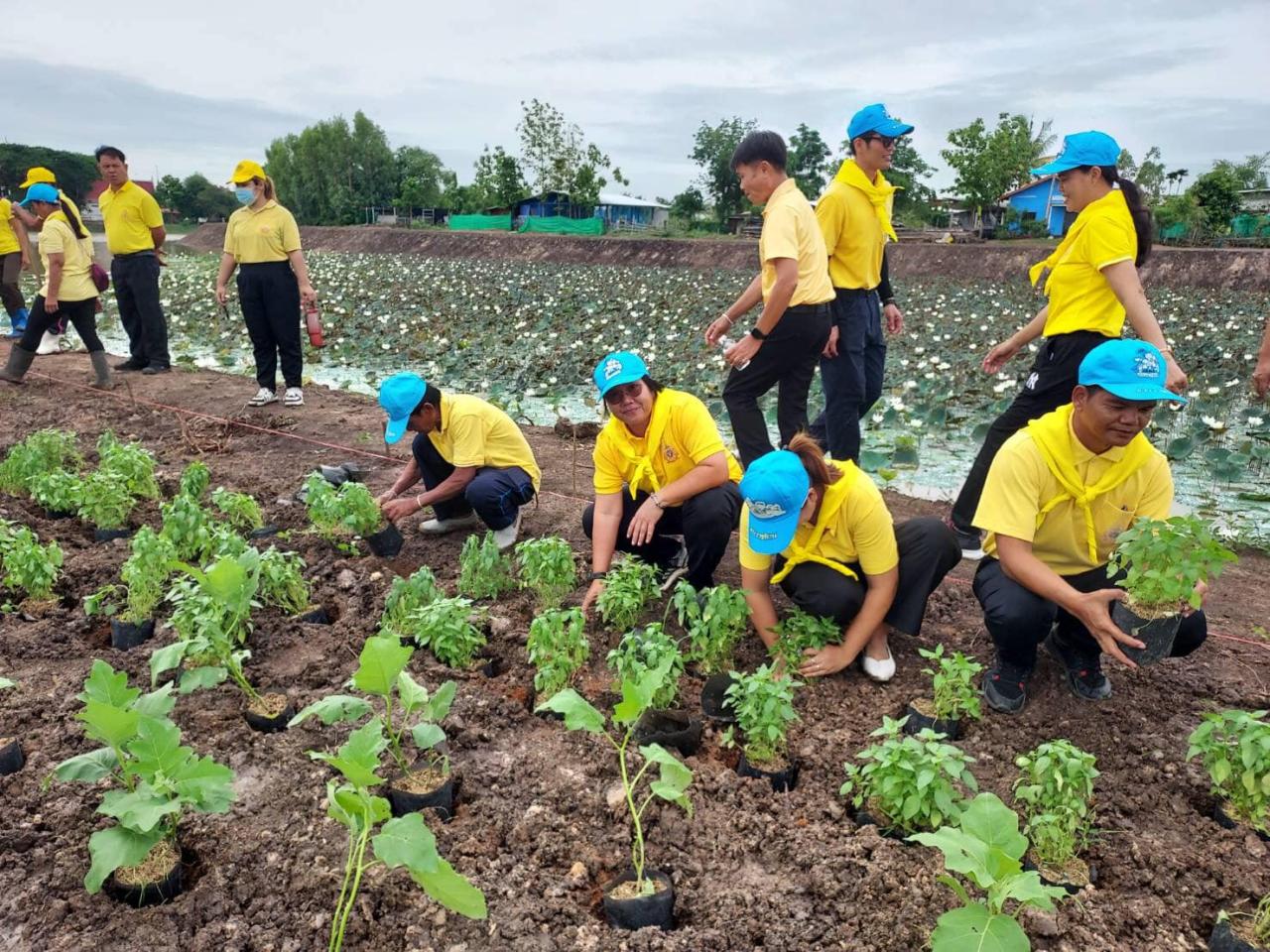 ภาพประกอบที่ 1